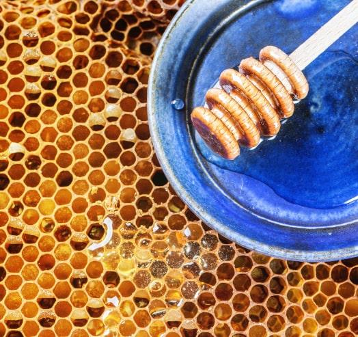 Dans nos produits : Cire d'abeille Bio